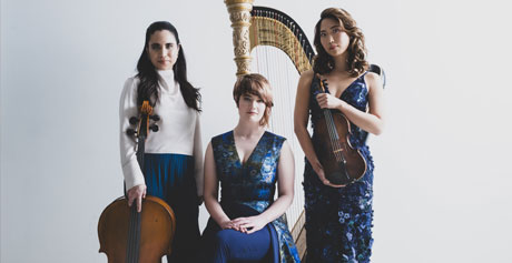 Emily Levin, Principal Harpist of t..