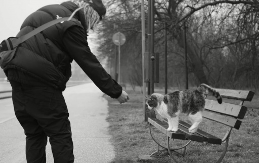 FYRE / RIZZIATTA / SESSE / TROI x GARJOKA / Soul King x Бате Са / SKI / Ganjev x $ENTO / BM / AYVAN KARTELA  / 4€F0 / HAMAN